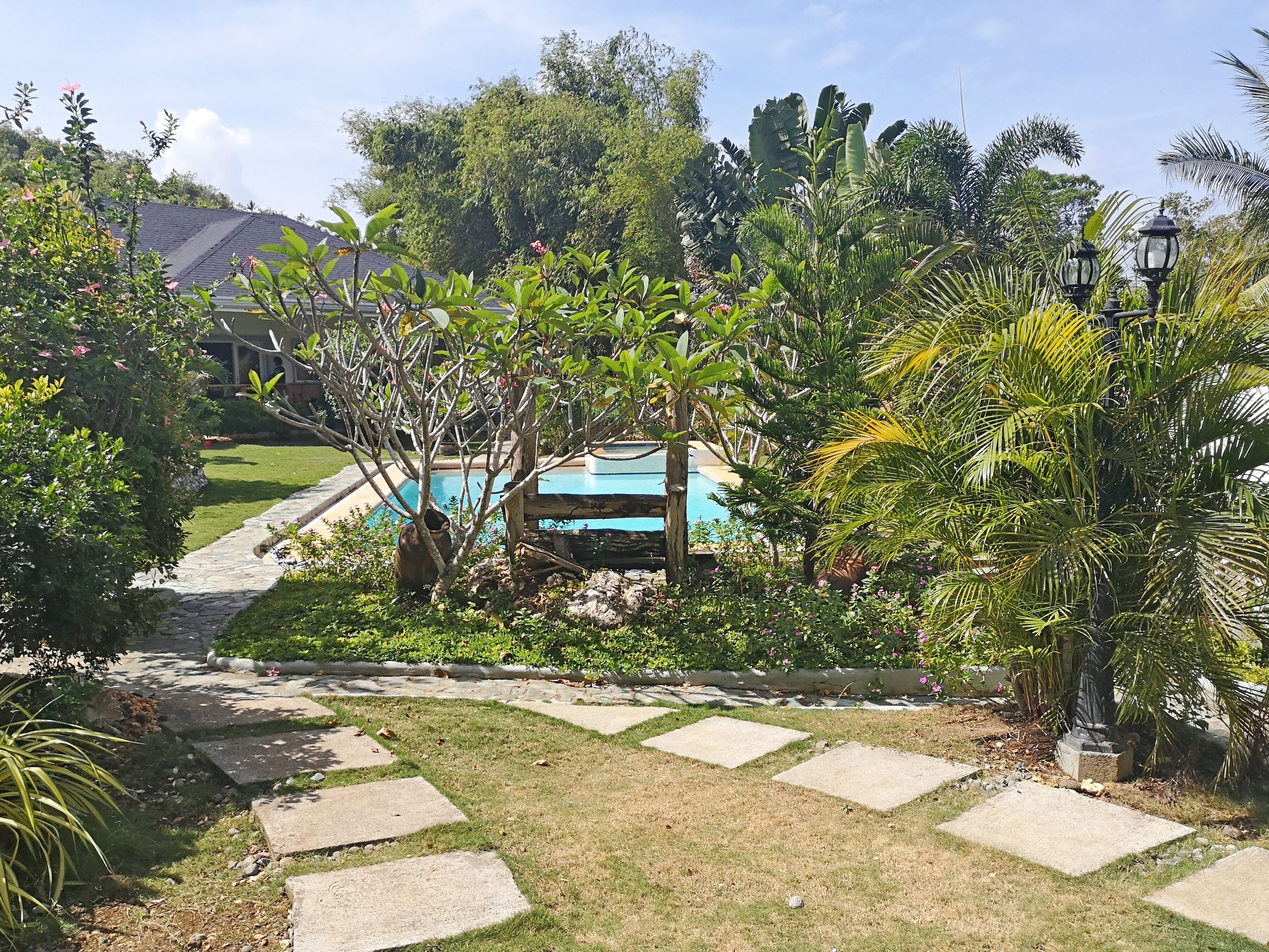 A pool surrounded by lush greenery, a stone pathway, and a clear blue sky.