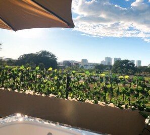 City view from property