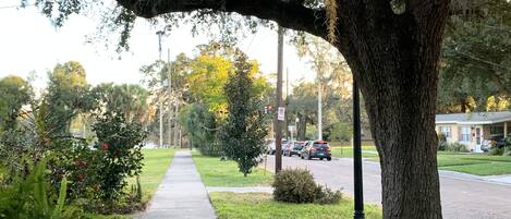 Overnatningsstedets område