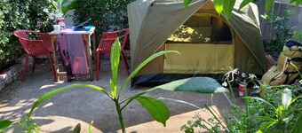 Mj Tent 1or2 Person in my front yard