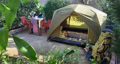 Mj Tent 1or2 Person in my front yard