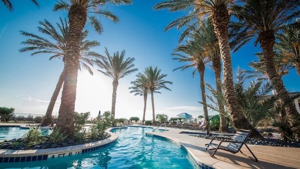 Una piscina con palmeras y sillas de descanso.