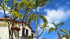 A building with a yellow facade and brown trim, surrounded by lush greenery and palm trees. - Sealong Bay ZhongQi Conifer Hotel (Prey Nob)