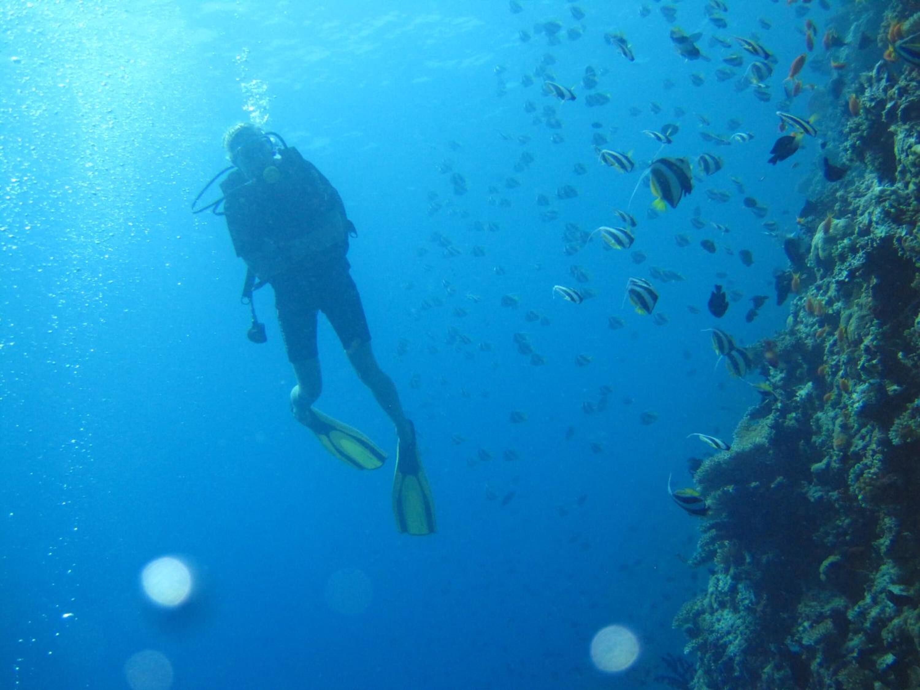 Photo - Kuri Beach View Inn