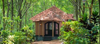 Entdecke deinen Rückzug und sei ein neues Du !!!