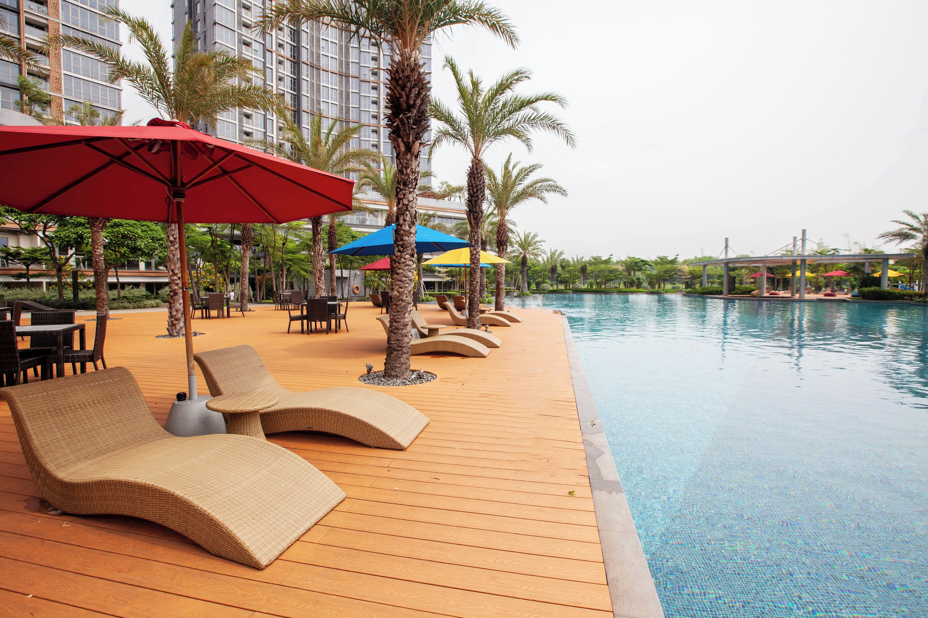 Un espace aménagé au bord de la piscine, avec des chaises longues et des parasols, entouré de palmiers et dominé, au loin, par un immeuble de grande hauteur.