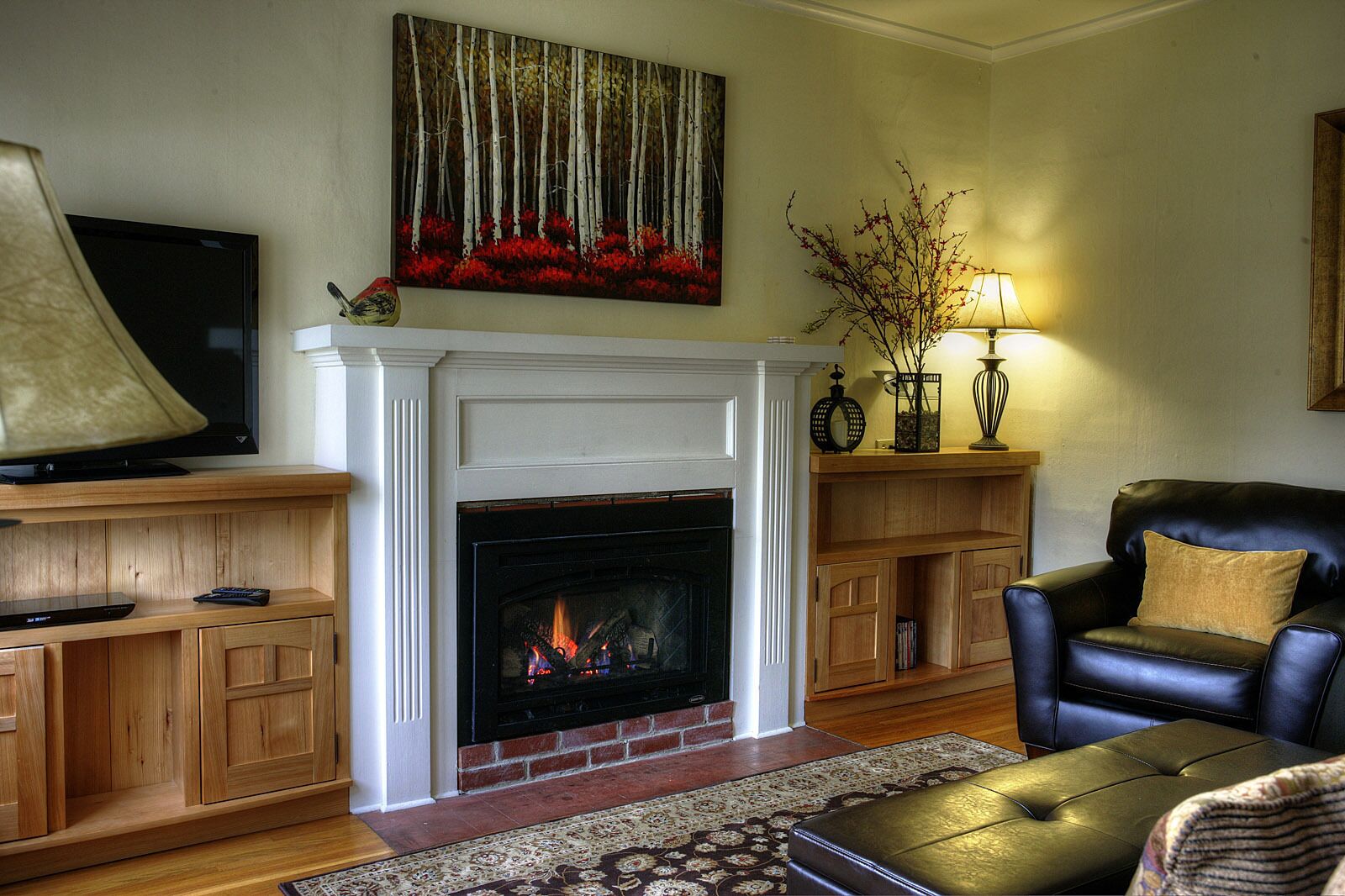 Smart TV, fireplace, DVD player, books