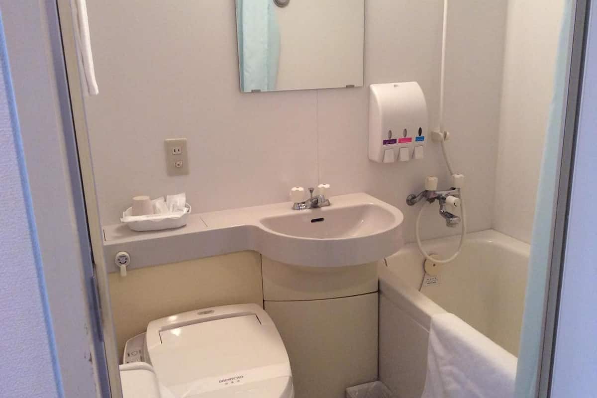 combined shower/bathtub, free toiletries, hair dryer, slippers