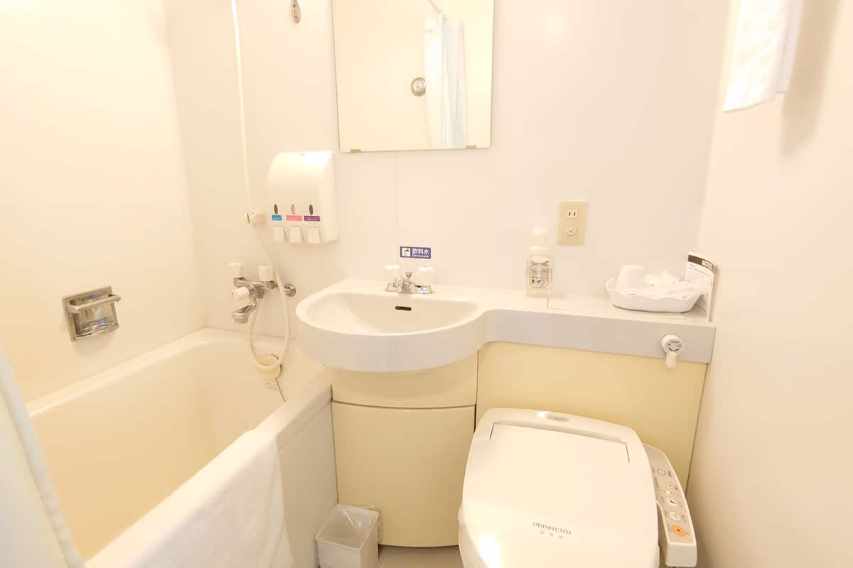 combined shower/bathtub, free toiletries, hair dryer, slippers