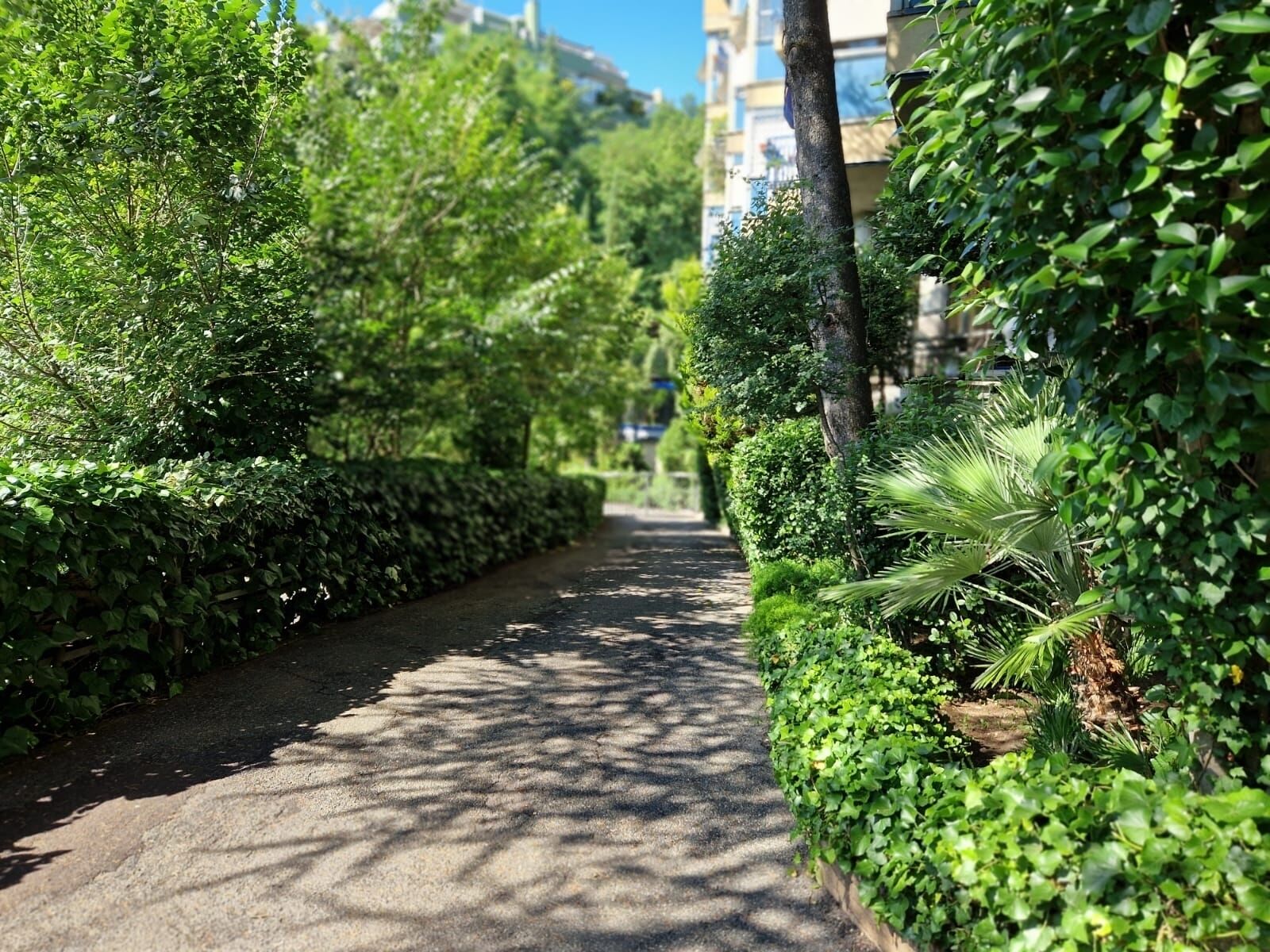 Enceinte de l’hébergement