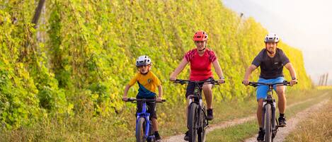 Three people riding bicycles on a gravel path surrounded by greenery.