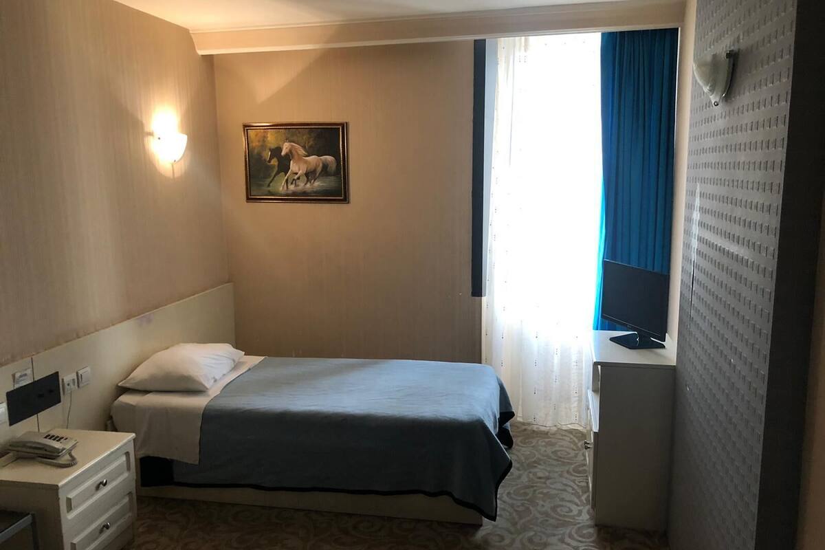 Habitación de hotel con cama, escritorio, silla, mesita de noche, televisor montado en la pared y un cuadro de un caballo.