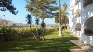 Un patio con césped, palmeras y un edificio blanco con arcos.