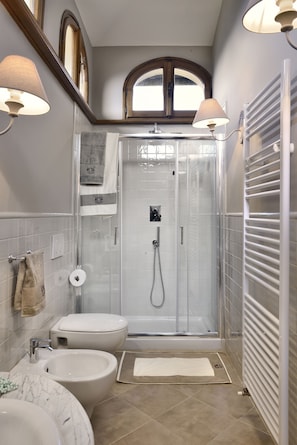 Shower, hair dryer, bidet, towels