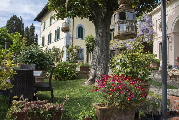 Un patio con un árbol grande, plantas en macetas y una mesa con sillas.