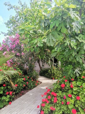 Exterior - Kiris Garden Hotel (Kemer)