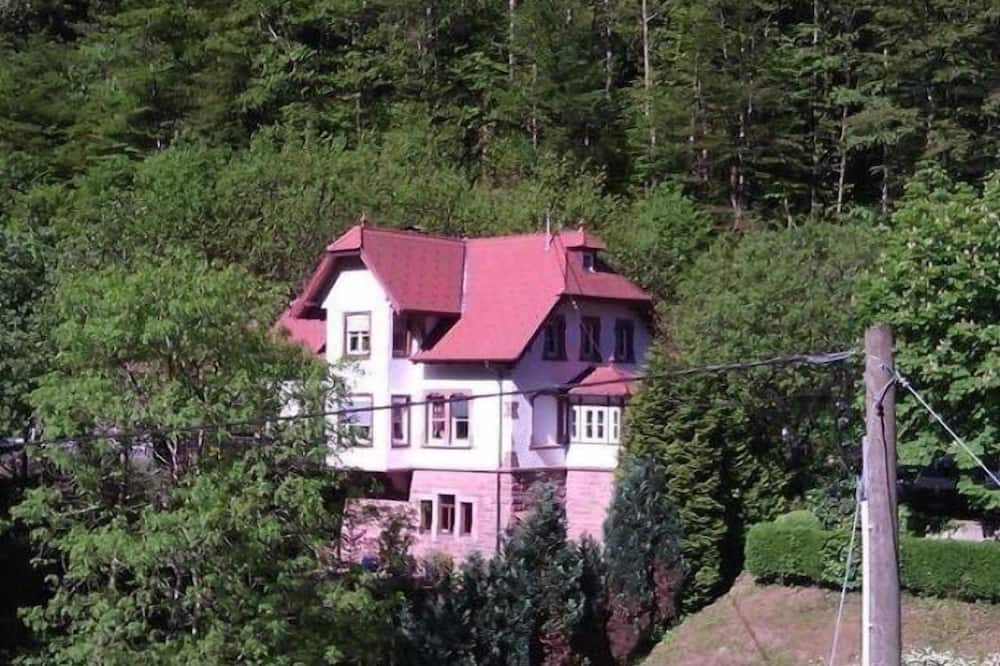 Apartment Black Forest All Saints Waterfalls Oppenau / Renchtal