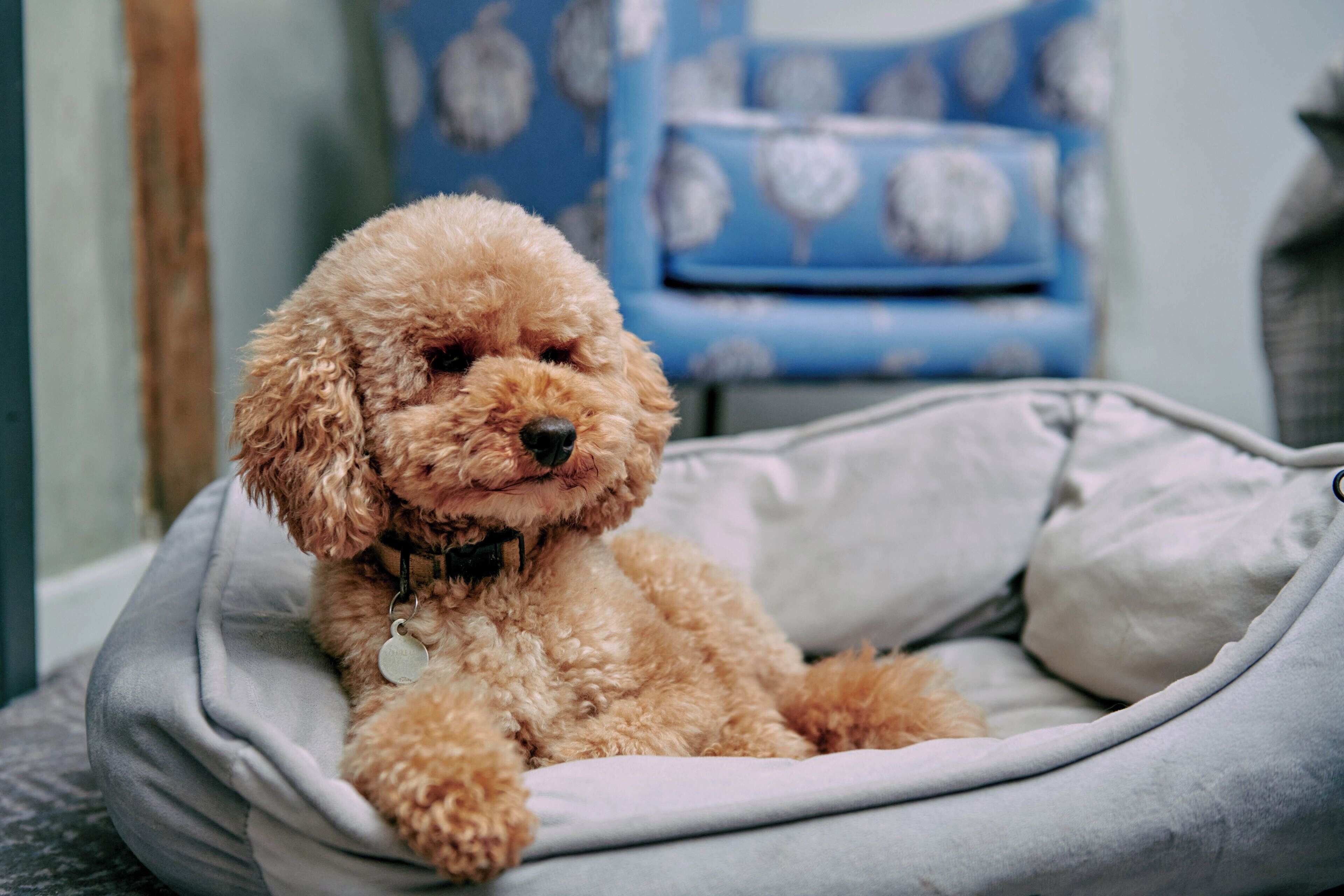 standard double room | desk, free wifi