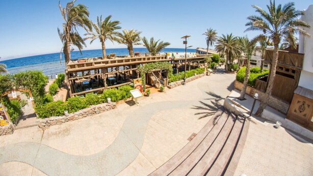 A beachfront resort with a wooden deck, palm trees, and a view of the sea. - Penguin Village Dahab (Dahab)
