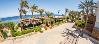 Penguin Village Dahab