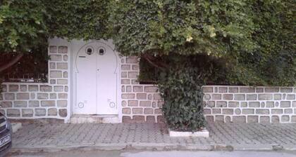 Tunis downtown manar 2