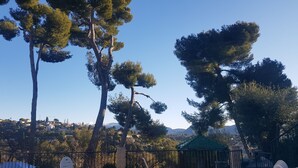 A view of a mountainous landscape with tall trees and a clear sky. - Comfortable villa - 3 rooms - PRIVATE swimming pool in a quiet location in Nice (NICE)