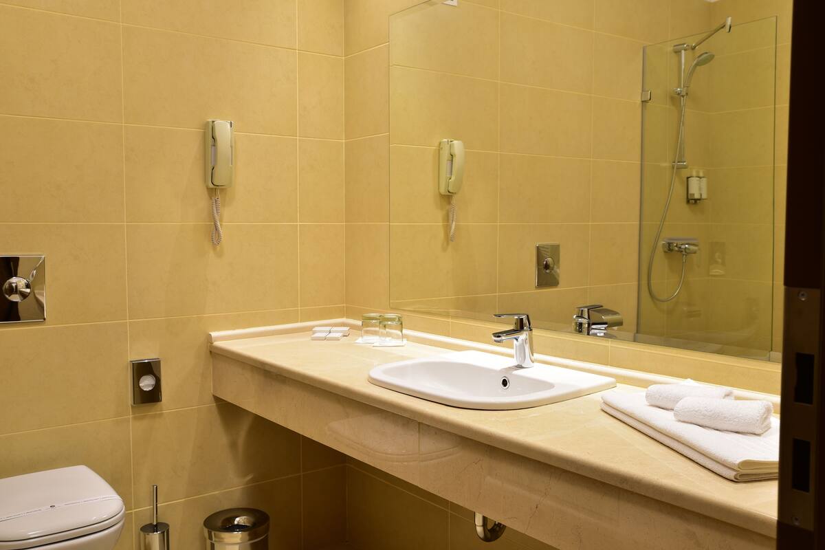 premier double room | bathroom | shower, rainfall showerhead, free toiletries, hair dryer