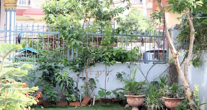 Standard Rooms | Delights Home
