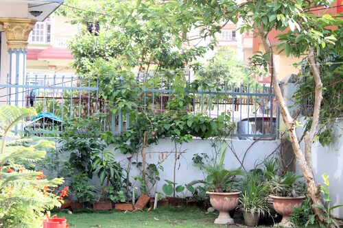 Habitación de lujo | Delicias Inicio