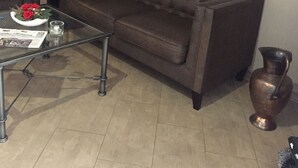 منطقة الاستقبال