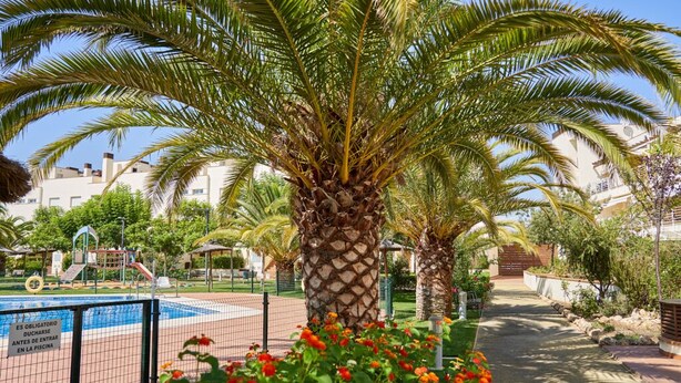 A pool area with palm trees, a playground, and a sign indicating mandatory showering before entering the pool. - Beachfront apartment, with pool and urban areas. Zarati (Isla Cristina)
