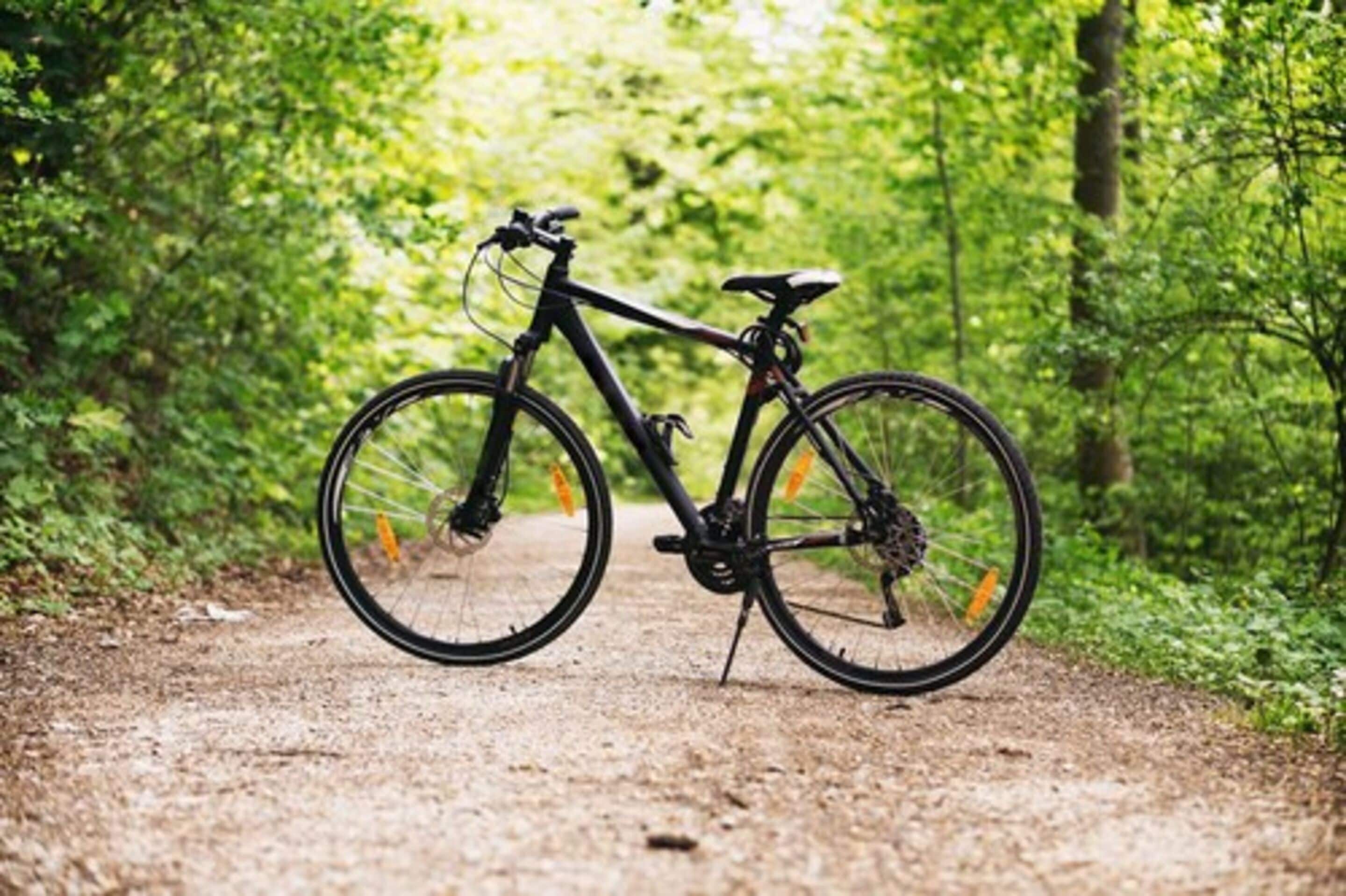 Una bicicleta estacionada en un sendero de tierra rodeada de vegetación.
