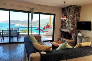 智能電視、電子遊戲、DVD 播放機、書籍