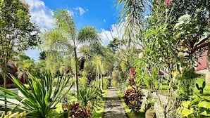 A garden pathway with various tropical plants and a stone wall. - Jungle Paradise (Penida Island)