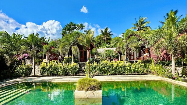 A clear pool surrounded by lush greenery and a stone wall. - Jungle Paradise (Penida Island)