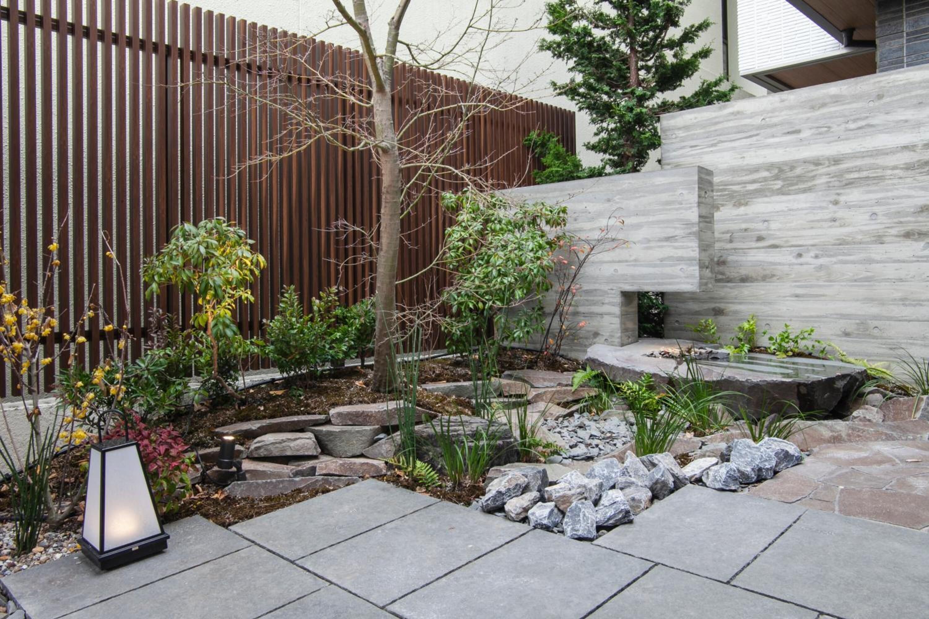 A modern outdoor garden with a wooden fence, stone pathways, and various plants.