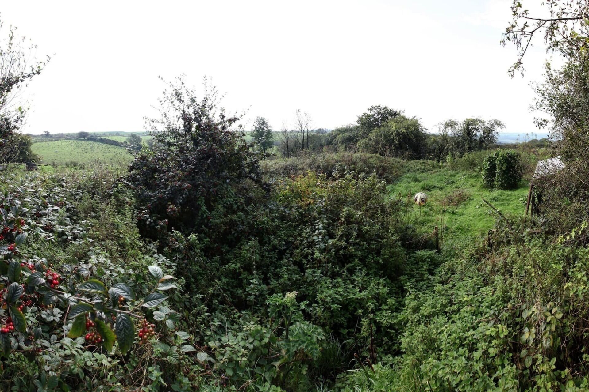 Landskab med frodig vegetation, en lille bakke og udsigt til et mark i det fjerne.