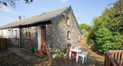 Inviting 2-bed Cottage in Newcastle Emlyn