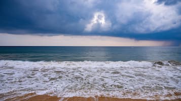 Vue sur la plage/l’océan