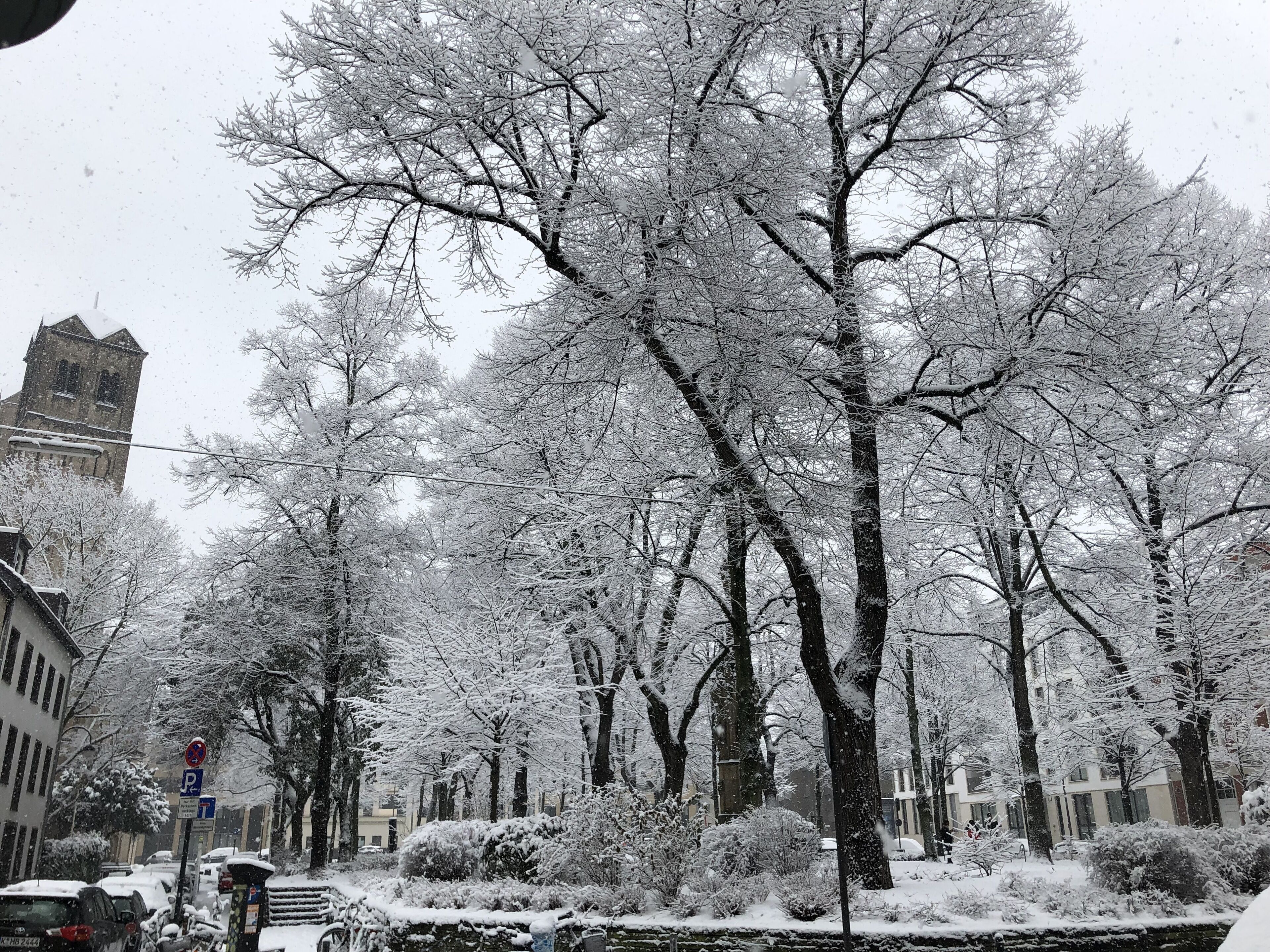 A snow-covered street with trees and a church tower.