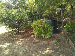 Property grounds - Apartment for 2 people  (La riviere saint louis)