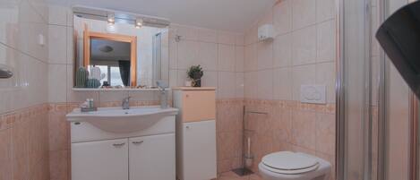 A bathroom with a sink, mirror, toilet, and shower.