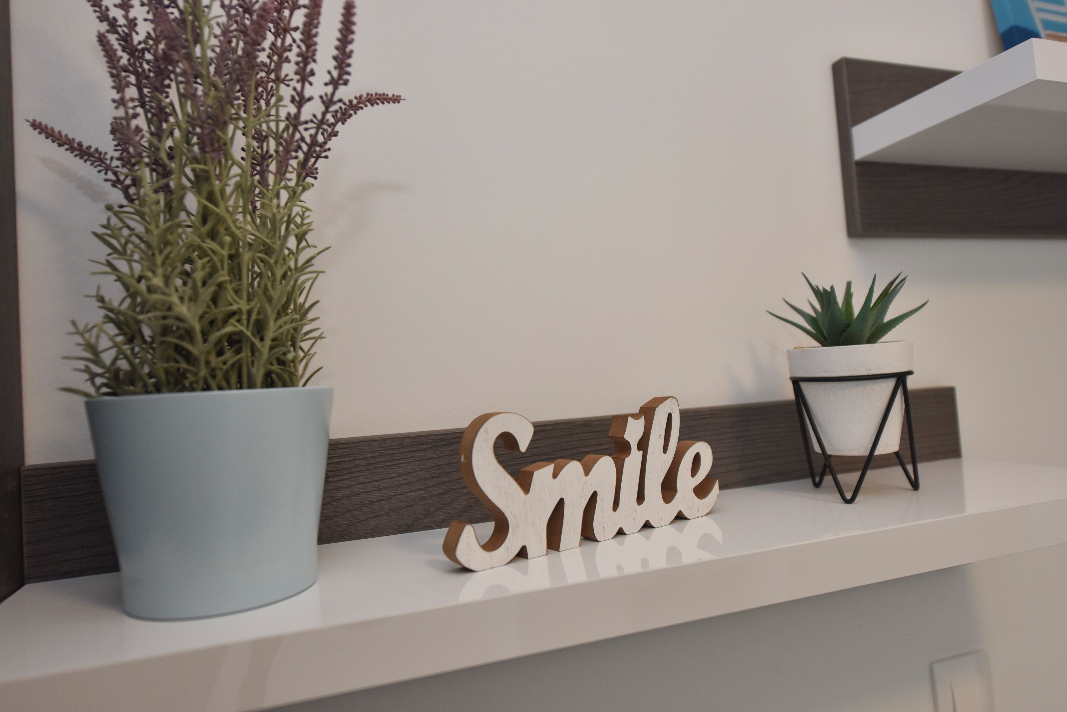A reception area with a potted plant, a sign that reads "Smile," and a small table with a plant.