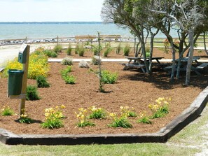Property grounds - Tee-rific: Private Pool, Access to Free Oceanfront Parking (Nags Head)