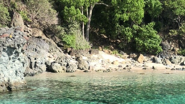 A coastal area with clear turquoise water, rocky shore, and dense green foliage.