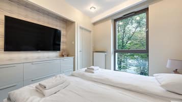 Deluxe Apartment | View from room