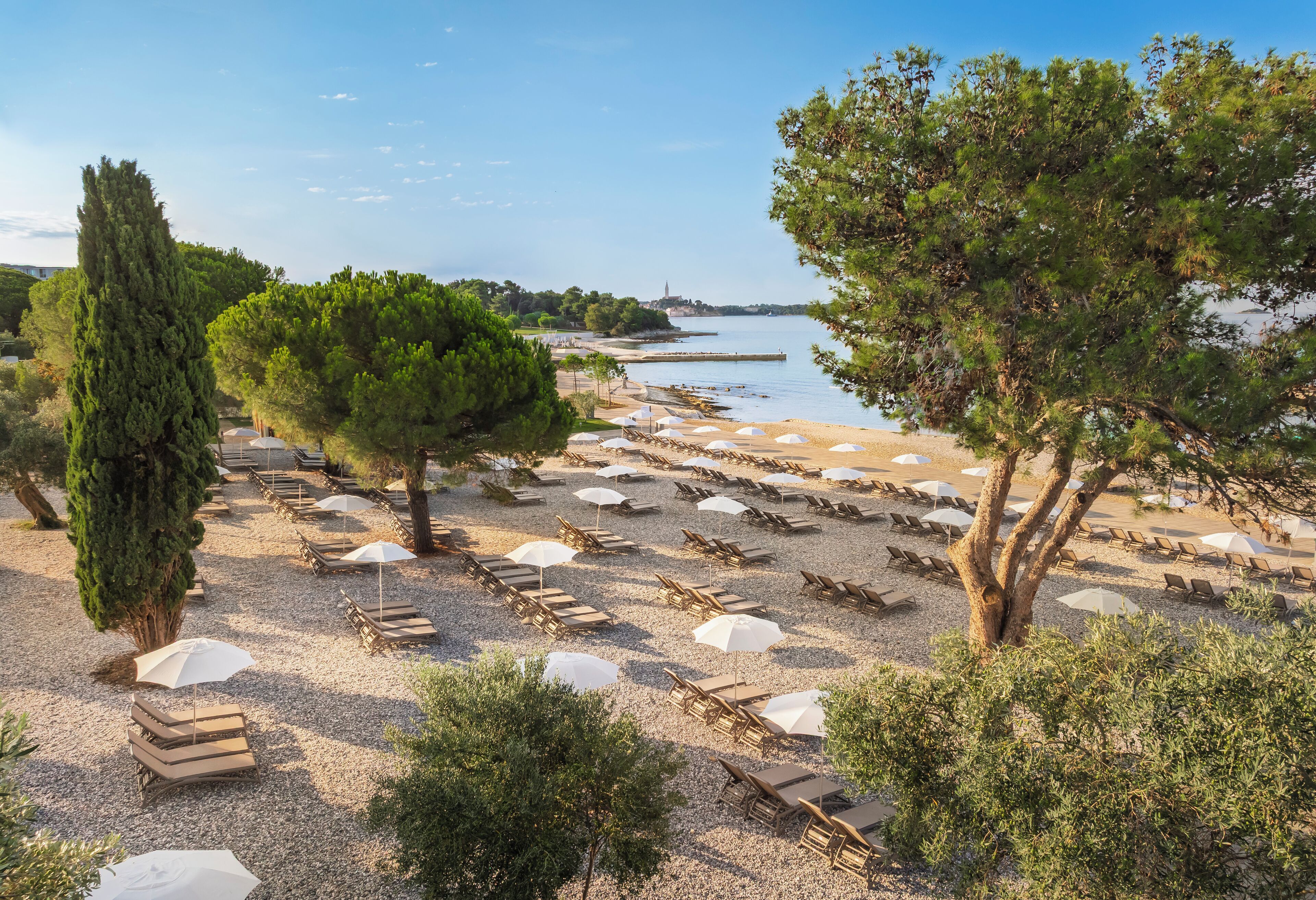 Een strand met rijen ligbedden en parasols, omringd door bomen en een waterpartij.