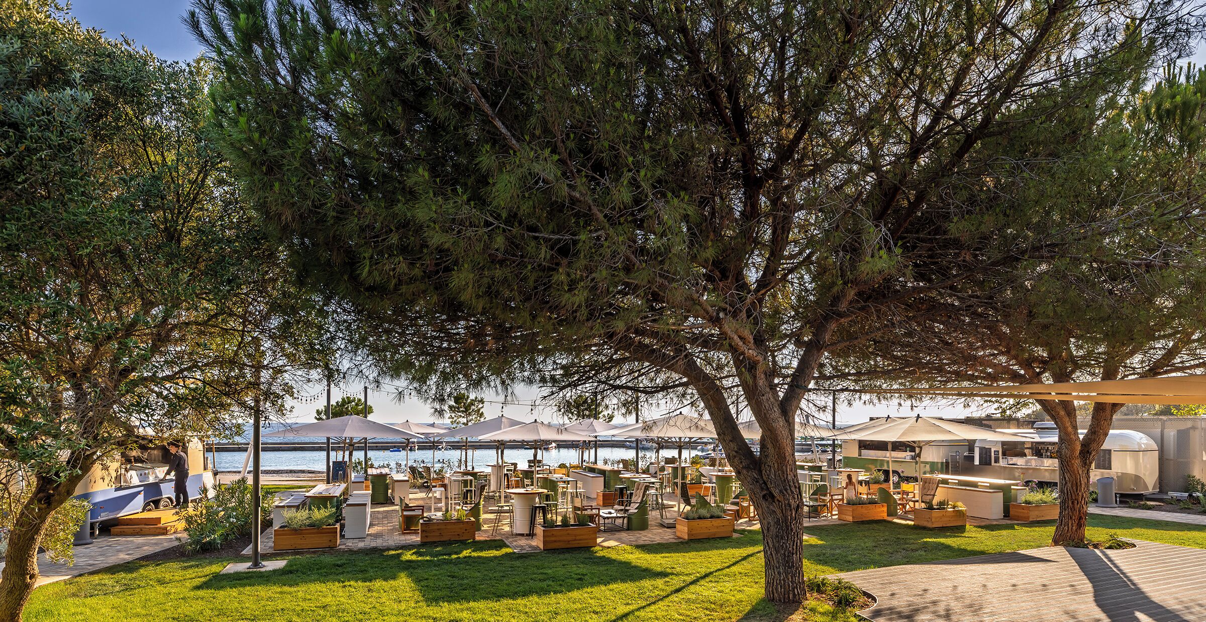 Un espace extérieur aménagé avec des tables et des chaises, un grand arbre et une vue sur la mer.