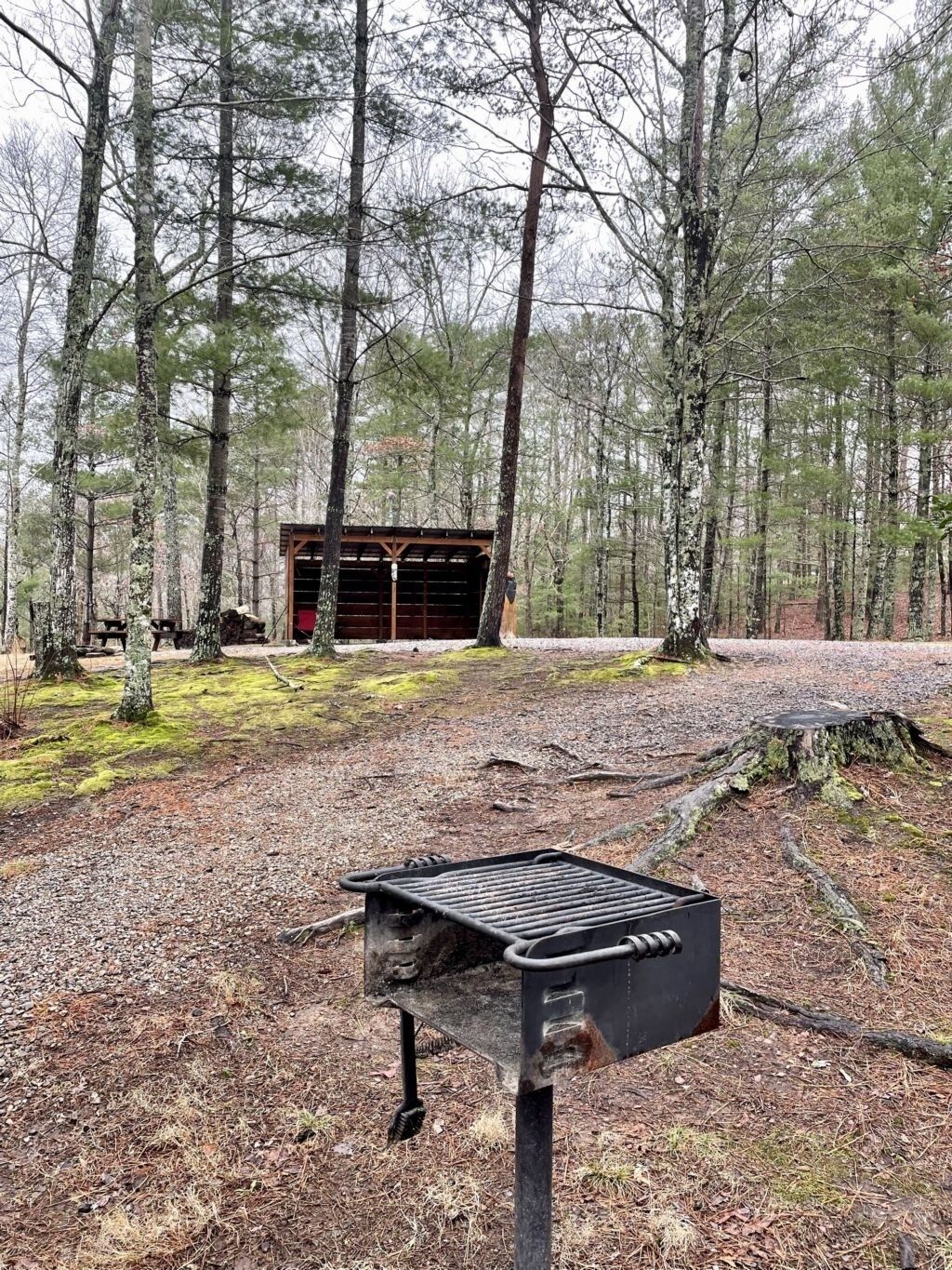 A rustic outdoor grill in a forested area with a wooden structure in the background.