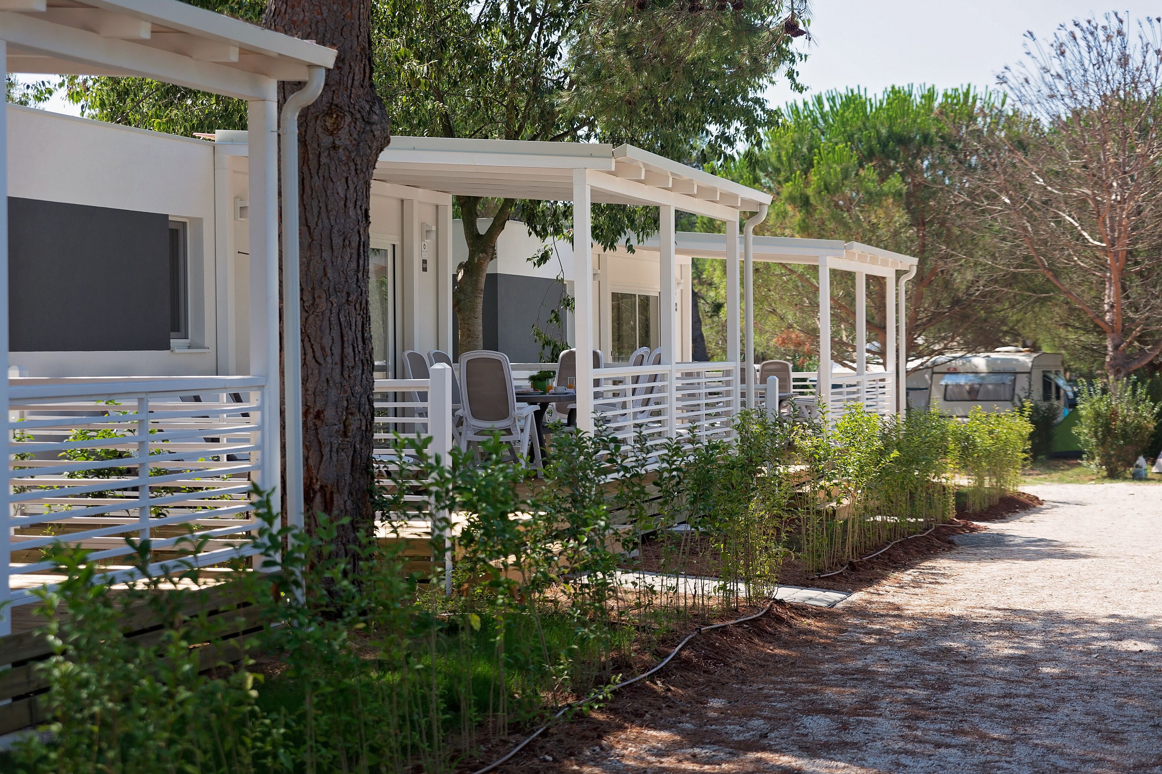 A covered outdoor seating area with white railings and chairs, surrounded by greenery and trees.